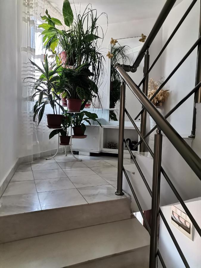 Guest House Konomaevi Sozopol Ngoại thất bức ảnh